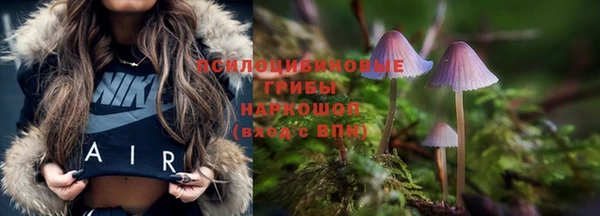 MDMA Ельня