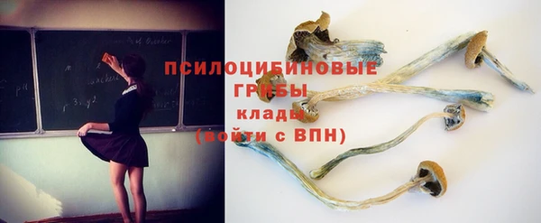 MDMA Ельня