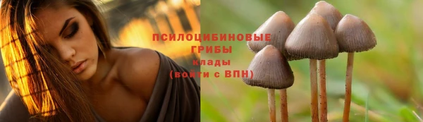 первитин Елизово